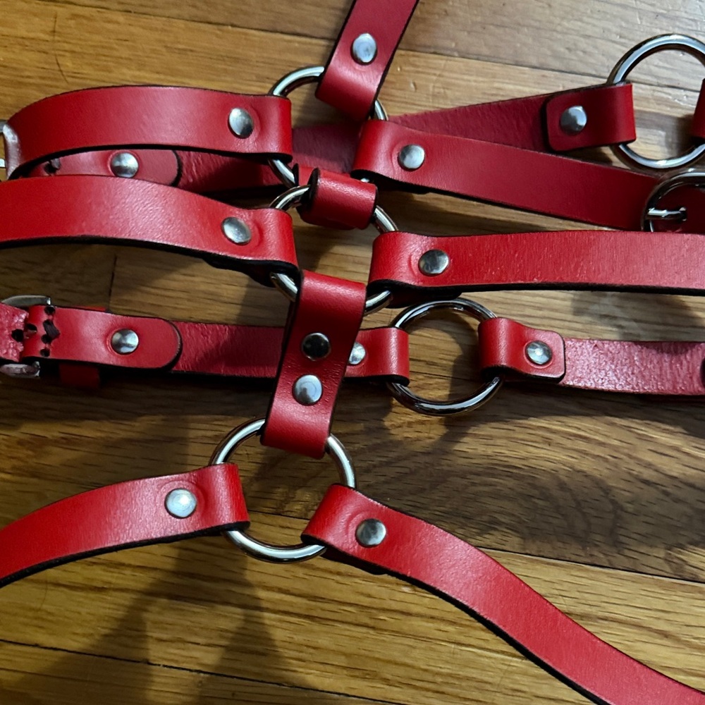 0770 Roxane Red Leather Harness - Picture 7 of 15